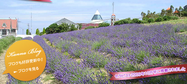 Kanna Blog ブログも好評更新中！