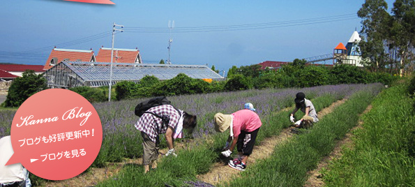 Kanna Blog ブログも好評更新中！