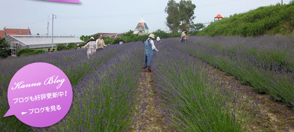 Kanna Blog ブログも好評更新中！