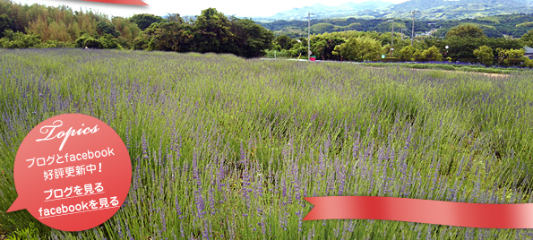 Topics ブログとfacebook好評更新中！